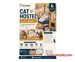 Cat Hostel In Faridabad