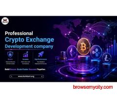 Professional Crypto Exchange Development Solutions
