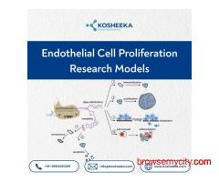 Endothelial Cell Proliferation Research Models