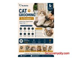 Cat Grooming In Faridabad