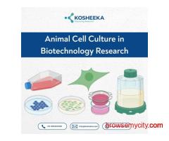 Animal Cell Culture in Biotechnology Research