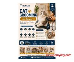 Cat Grooming In Kanpur