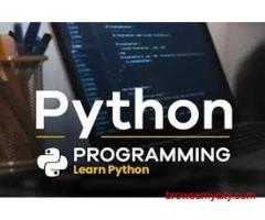 Job-Oriented Python Training Institute in Rohini