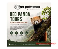 Red Panda Tours in Singalila National Park