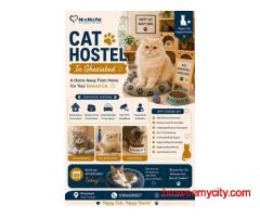 Cat Hostel In Ghaziabad