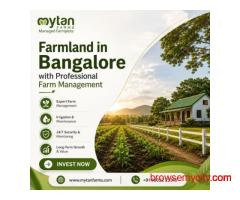 Farmland in Bangalore with Professional Farm Management