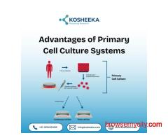 Advantages of Primary Cell Culture Systems