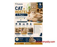 Cat Hostel In Nagpur