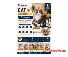 Cat Grooming In Nagpur