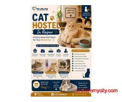 Cat Hostel In Raipur