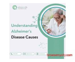 Understanding Alzheimer's Disease Causes