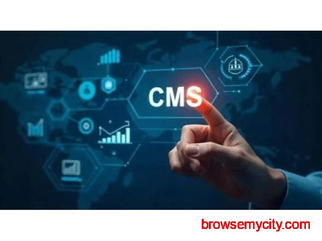 Cms Website Designing Greater Noida - 1/1