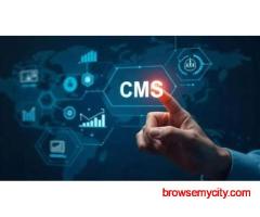 Cms Website Designing Greater Noida