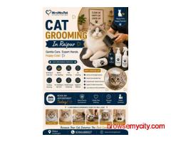 Cat Grooming In Raipur