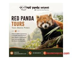 Red Panda Tours That Support Conservation Efforts