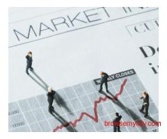 Professional SEO Agency in Laxmi Nagar