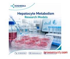Hepatocyte Metabolism Research Models