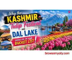 Best Tour And Travel Agency