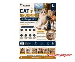 Cat Grooming In Srinagar Jk