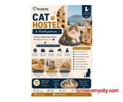 Cat Hostel In Visakhapatnam