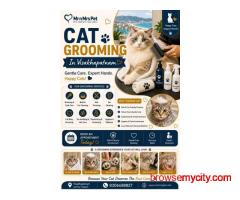 Cat Grooming In Visakhapatnam