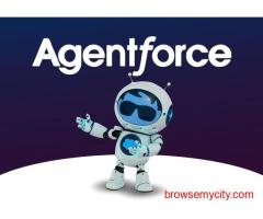 Salesforce Partner Companies in Jaipur