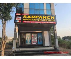 How Professional Immigration Guidance Makes Your Visa Journey Easier