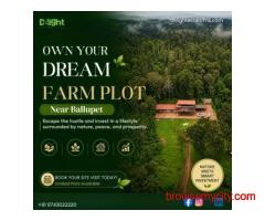 Managed Farmland Near Kanakapura Road | Agriculture Land for Sale in Karnataka
