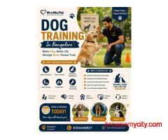 Dog Training Service in Bangalore