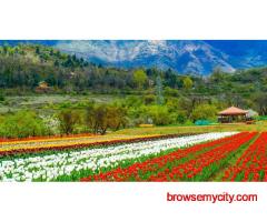 Srinagar 4 Nights 5 days starting from 30,000/- Per Persons