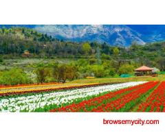 Srinagar Delights 4 Nights 5 days starting from 18000/- Per Person