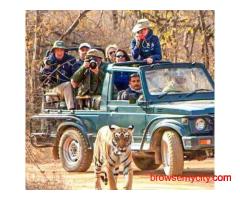 What Makes the Bijrani Safari Zone So Popular Among Travelers?