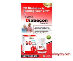 Hashmi Herbo Diabecon Capsule 20 Capsules Herbal Blood Sugar Support