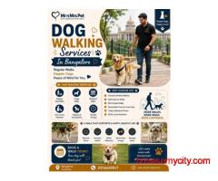 Dog Walking Services in Bangalore