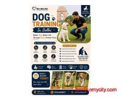Dog Training Service in Delhi