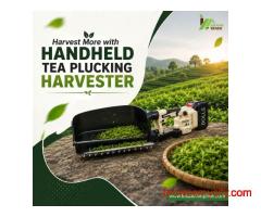 Harvest More with Handheld Tea Plucking Harvester