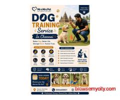 Dog Training Service in Chennai