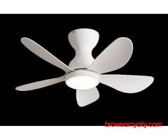 Premium Designer Ceiling Fan