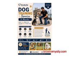 Dog Training Service in Mumbai