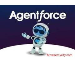 Salesforce Agentforce Consulting Services | AI Experts