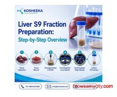 Liver S9 Fraction Preparation: Step-by-Step Overview