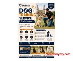 Dog Training Service in Hyderabad