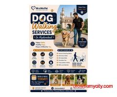 Dog Walking Services in Hyderabad
