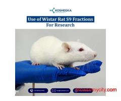 Use of Wistar Rat S9 Fractions for Research