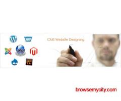 Cms Website Design Company in Noida