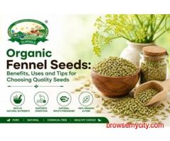 Organic Fennel Seeds for Everyday Wellness
