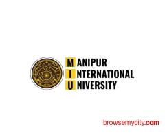 Manipur International University