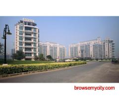 DLF Aralias Gurgaon On Sale – Luxury Lifestyle in Gurgaon