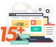 Best Website Development in Noida