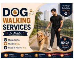 Dog Walking Services in Noida